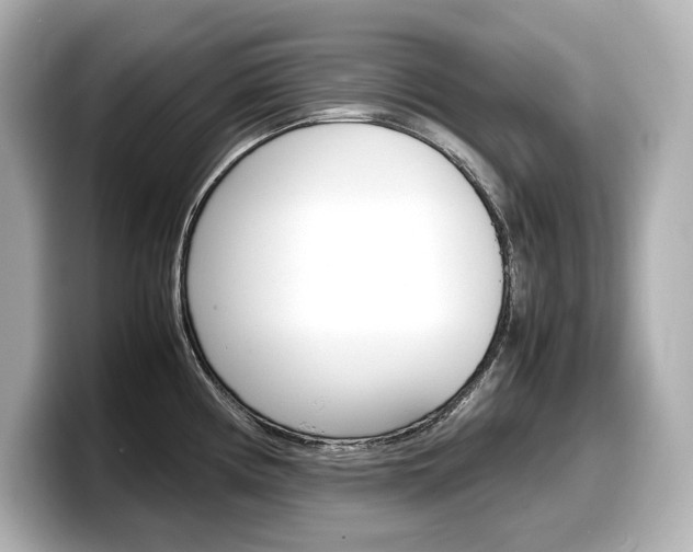 X0000098191194200804241044