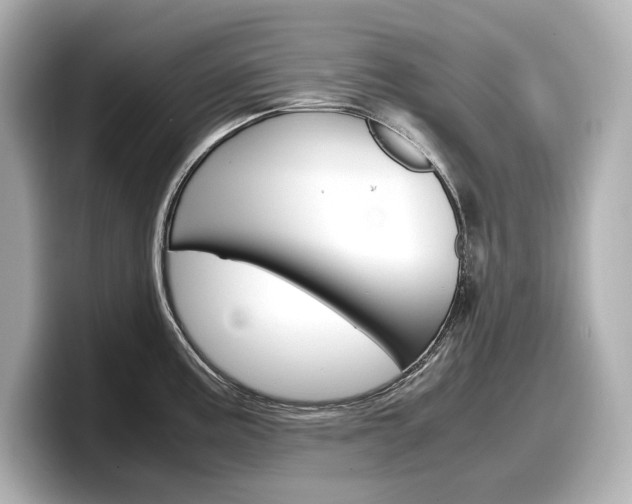X0000098191195200804241044