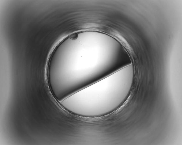 X0000098191196200804241044