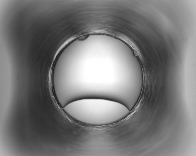 X0000098191198200804241044
