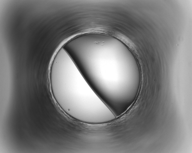 X0000098191200200804241044