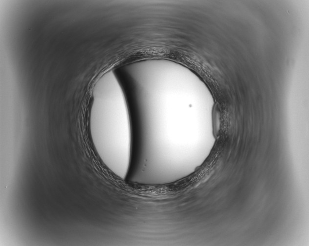 X0000098191201200804241044