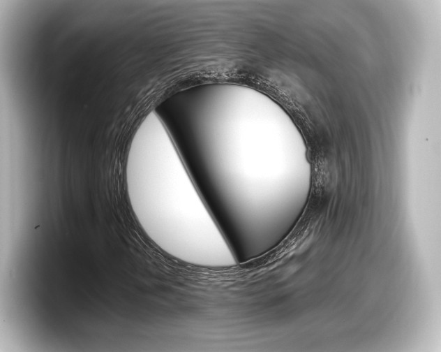 X0000098191202200804241044