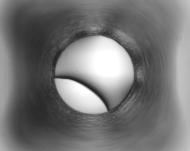 X0000098191204200804241044