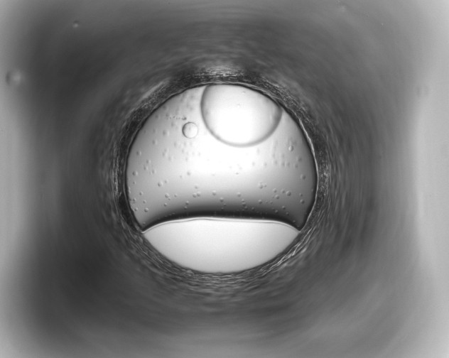 X0000098191205200804241044