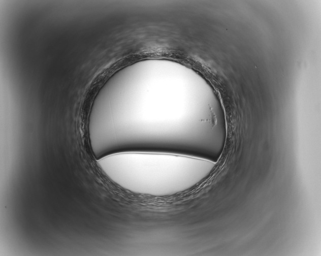 X0000098191206200804241044