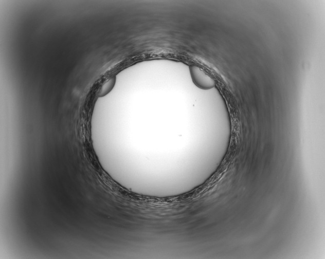 X0000098191207200804241044