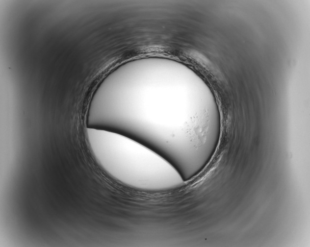 X0000098191209200804241044