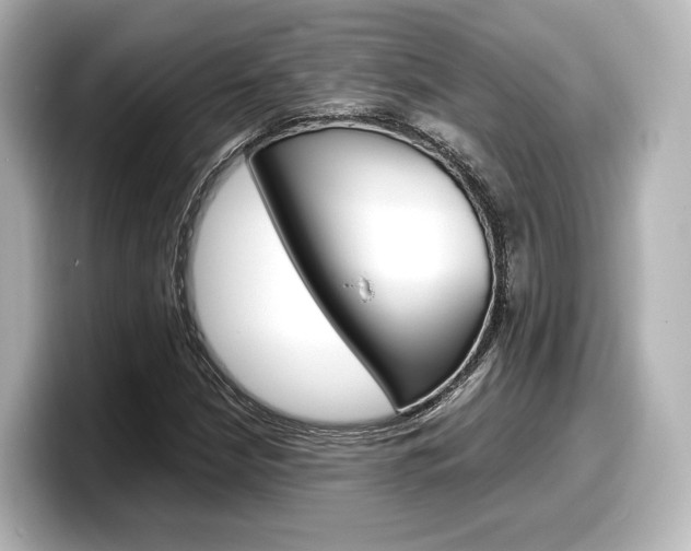 X0000098191210200804241044