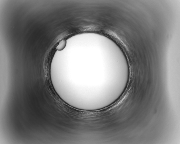 X0000098191211200804241044