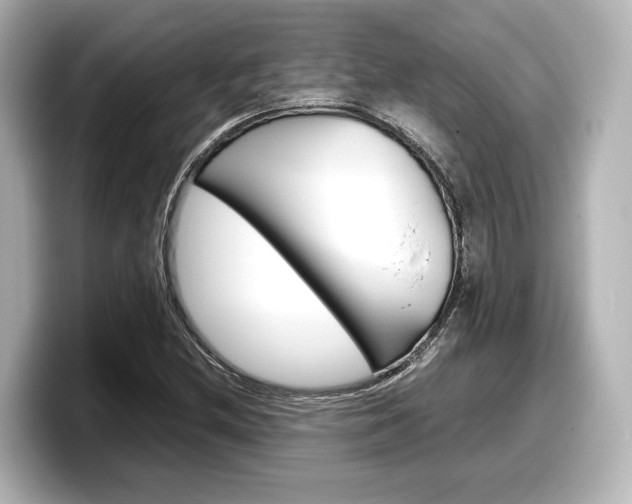 X0000098191212200804241044