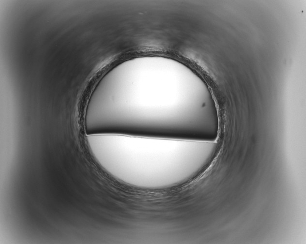 X0000098191213200804241044