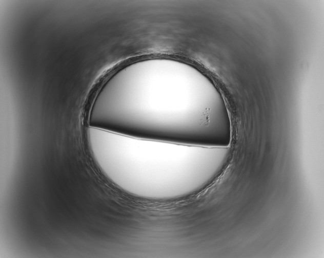 X0000098191214200804241044