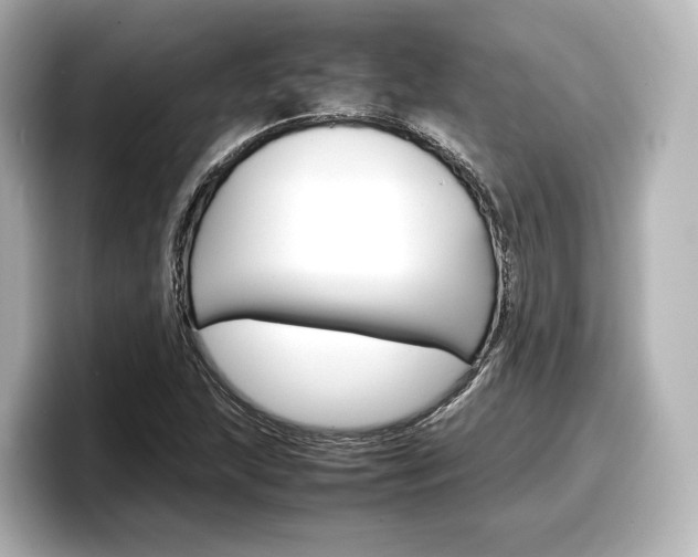 X0000098191215200804241044
