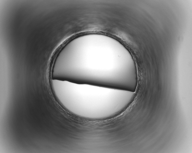 X0000098191216200804241044
