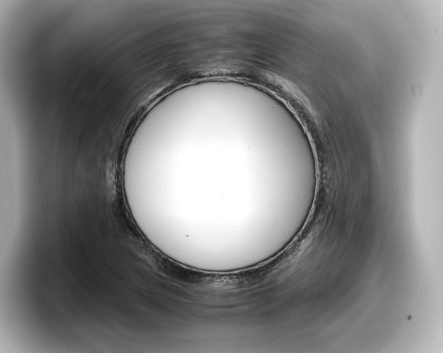X0000098191217200804241044