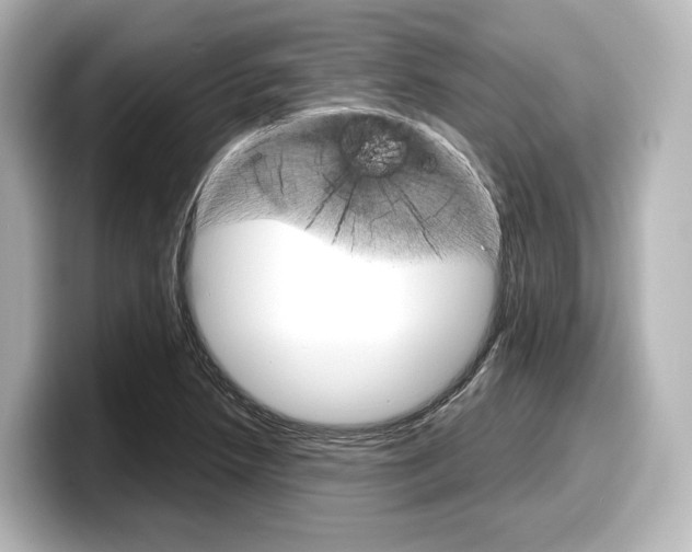 X0000098191218200804241044