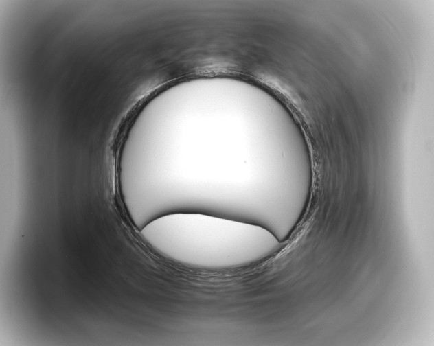 X0000098191219200804241044