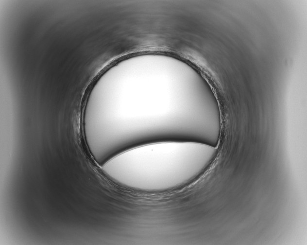 X0000098191220200804241044