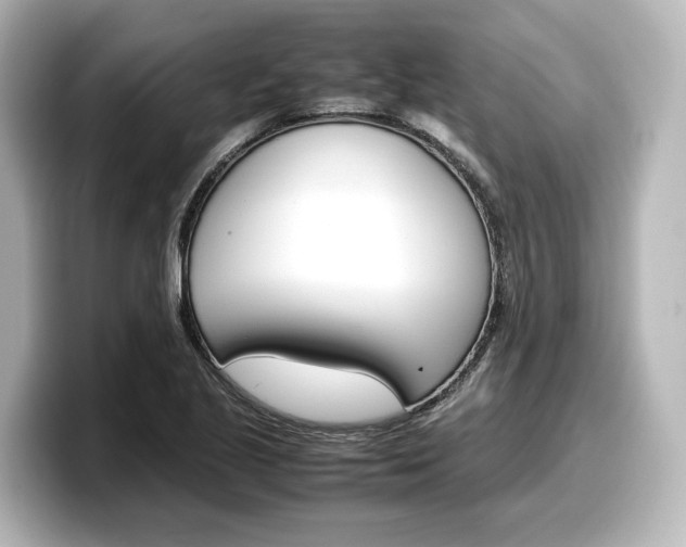 X0000098191221200804241044