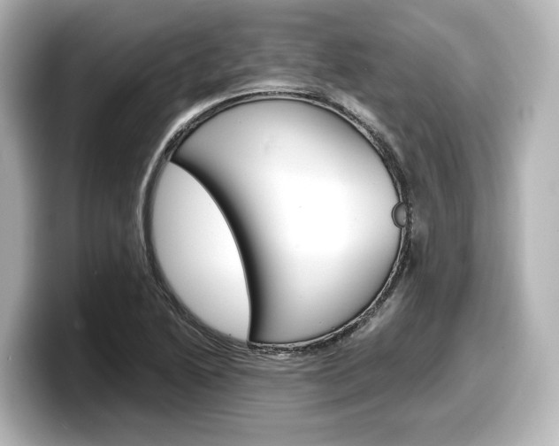 X0000098191222200804241044