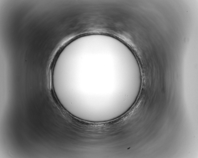 X0000098191223200804241044