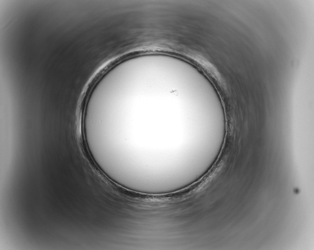 X0000098191224200804241044