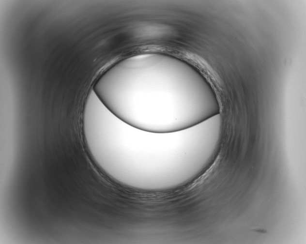 X0000098191225200804241044