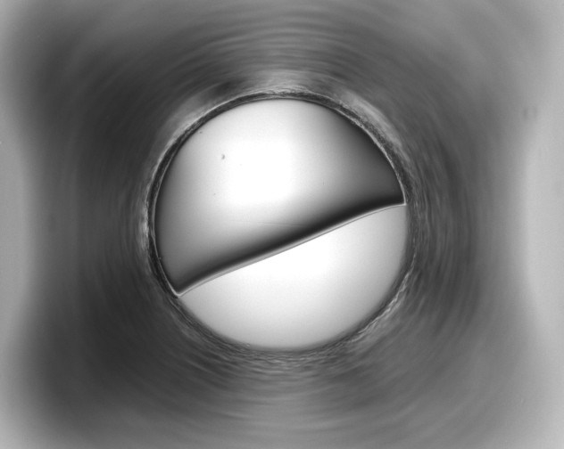 X0000098191226200804241044