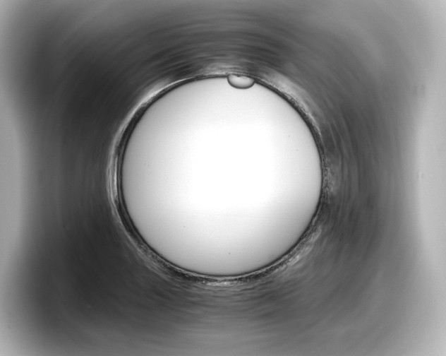 X0000098191227200804241044
