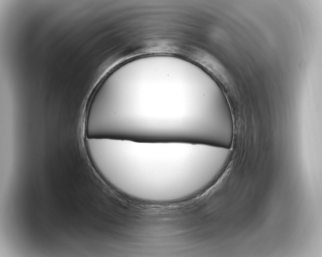 X0000098191228200804241044