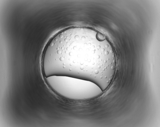 X0000098191231200804241044