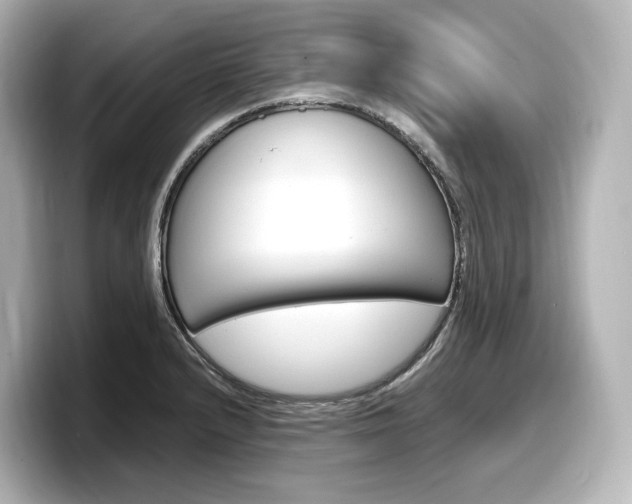 X0000098191232200804241044