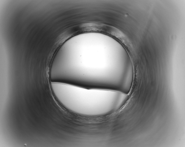 X0000098191233200804241044