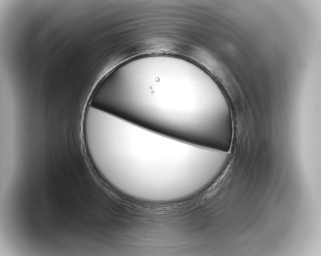 X0000098191234200804241044