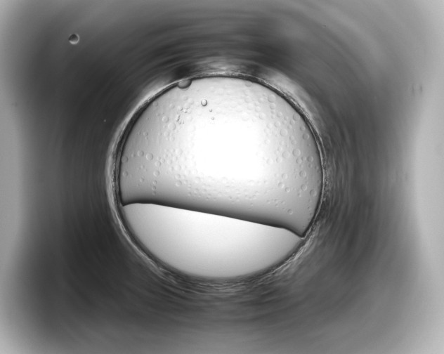 X0000098191235200804241044