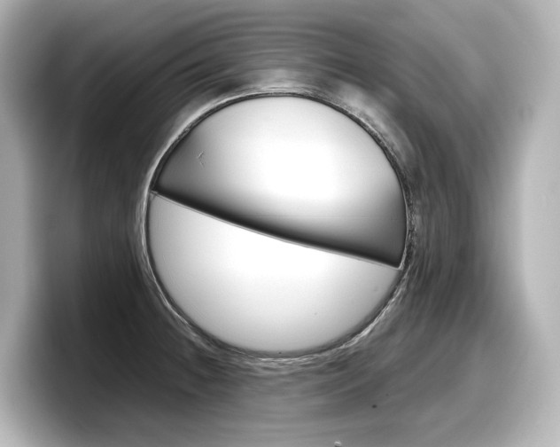 X0000098191236200804241044