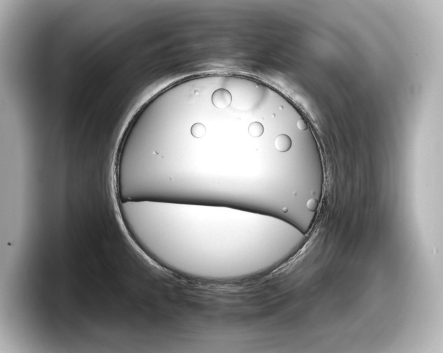 X0000098191239200804241044