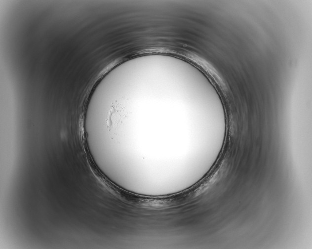 X0000098191241200804241044