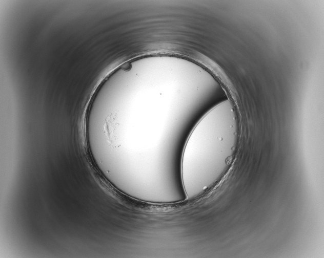 X0000098191242200804241044