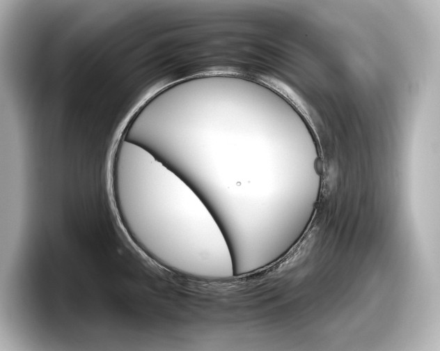 X0000098191243200804241044