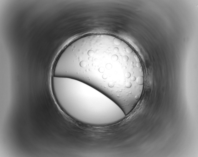 X0000098191245200804241044