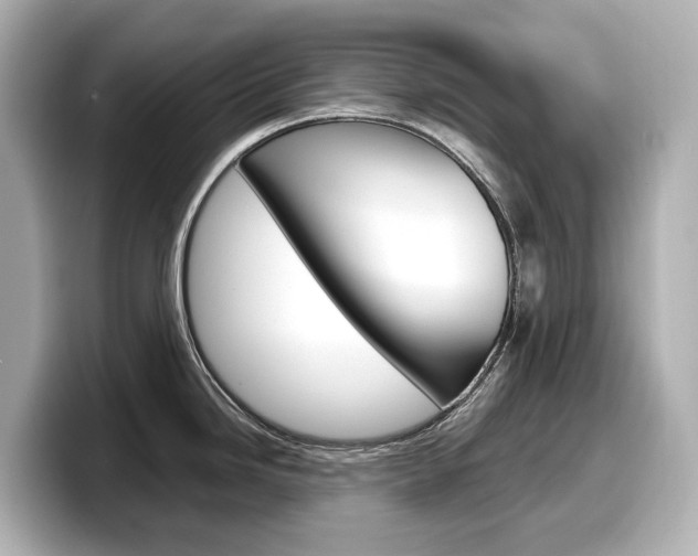 X0000098191246200804241044