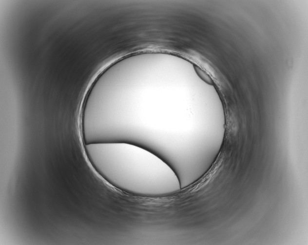 X0000098191247200804241044