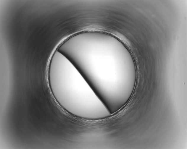 X0000098191248200804241044