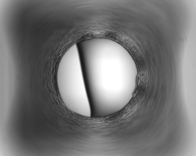 X0000098191249200804241044