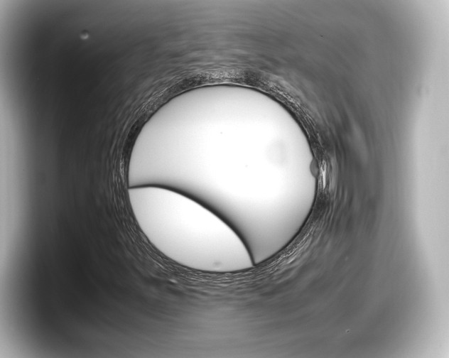 X0000098191251200804241044