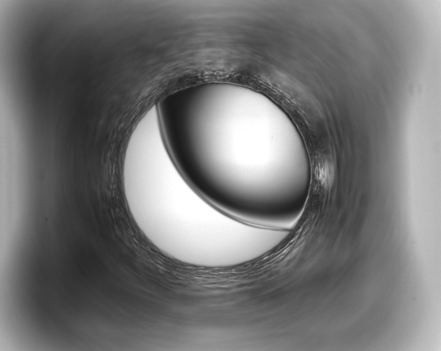 X0000098191252200804241044