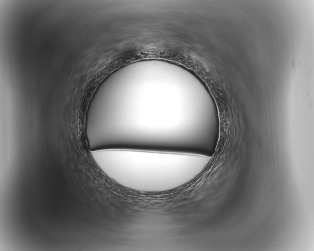 X0000098191253200804241044