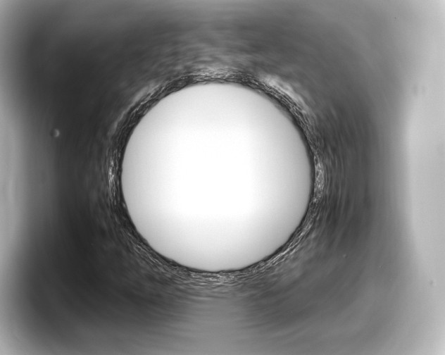 X0000098191254200804241044